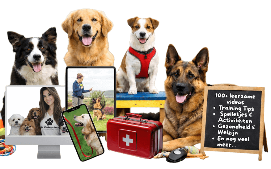 Foto van verschillende honden en een bord erbij wat je allemaal krijgt bij de online hondentraining van Woef Academy